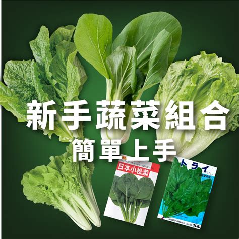 種菜|園藝入門：新手也輕鬆種起來的最簡單蔬菜指南 